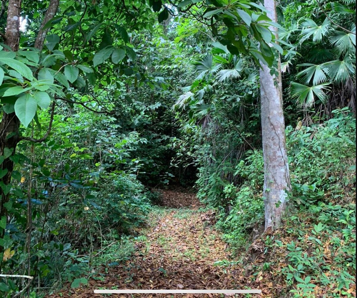 Farms and Ranches for sale in Bijagual Costa Rica