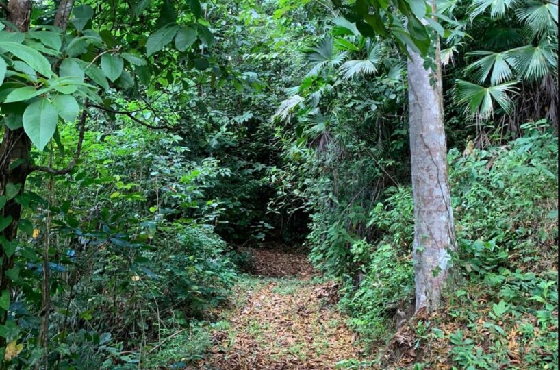 Farms and Ranches for sale in Bijagual Costa Rica