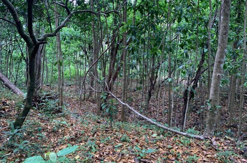 Farms and Ranches for sale in Bijagual Costa Rica