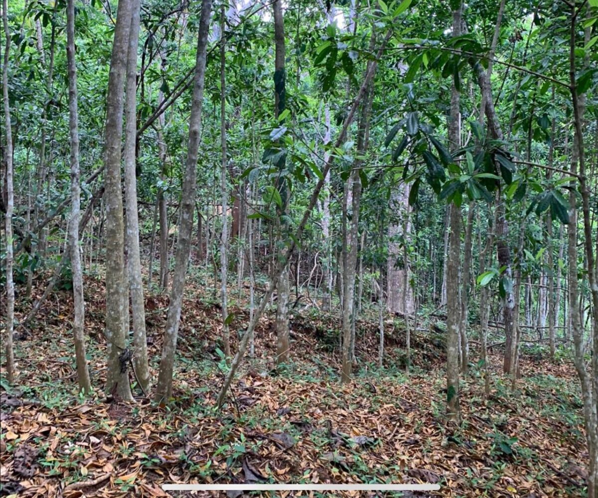 Farms and Ranches for sale in Bijagual Costa Rica