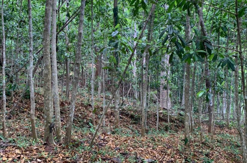 Farms and Ranches for sale in Bijagual Costa Rica