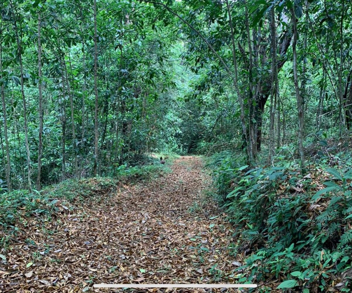 Farms and Ranches for sale in Bijagual Costa Rica