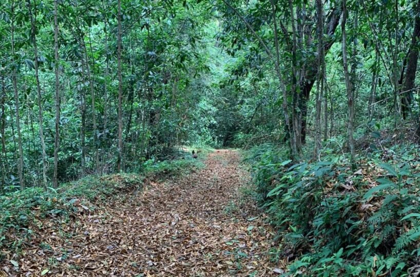 Farms and Ranches for sale in Bijagual Costa Rica