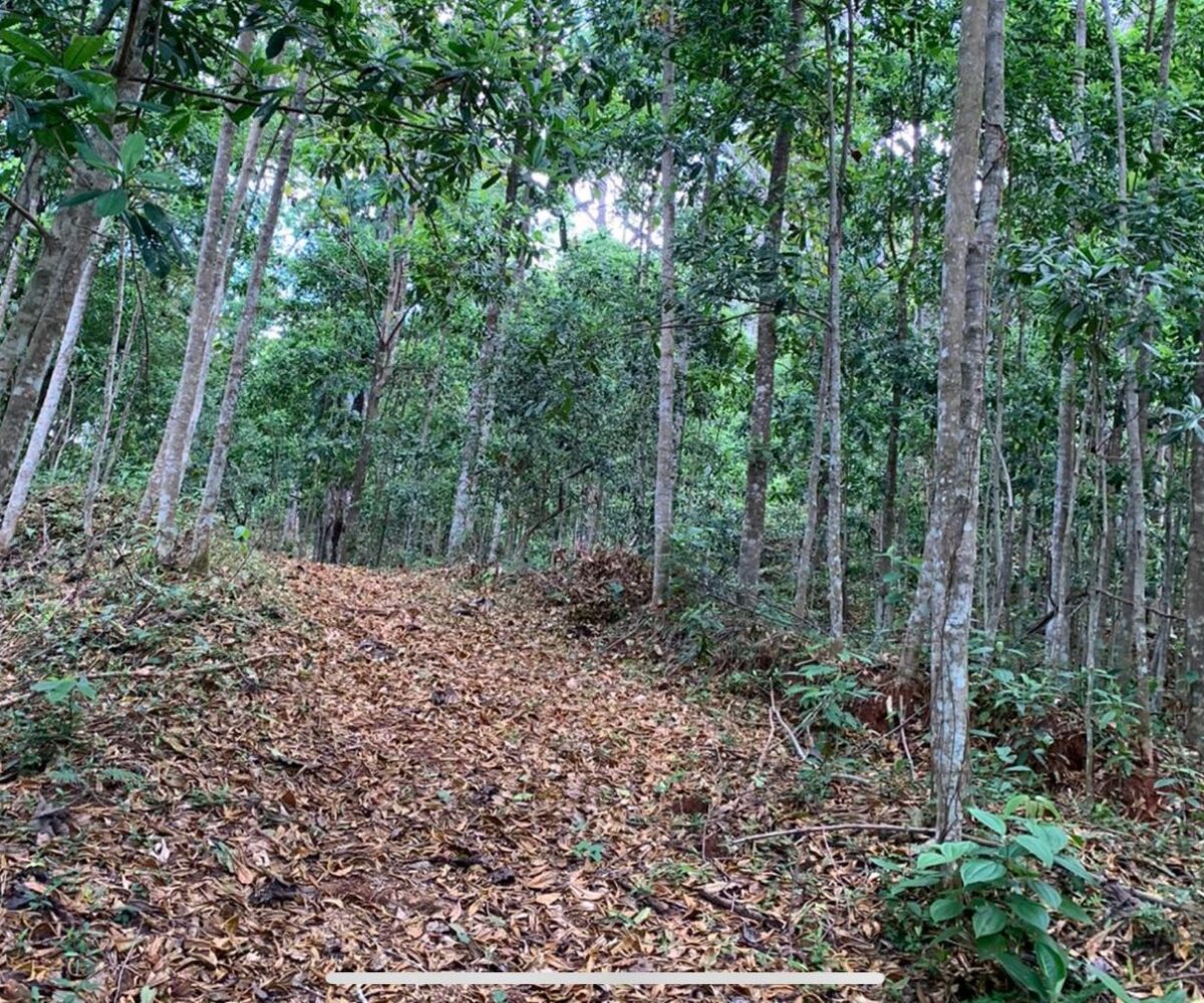 Farms and Ranches for sale in Bijagual Costa Rica