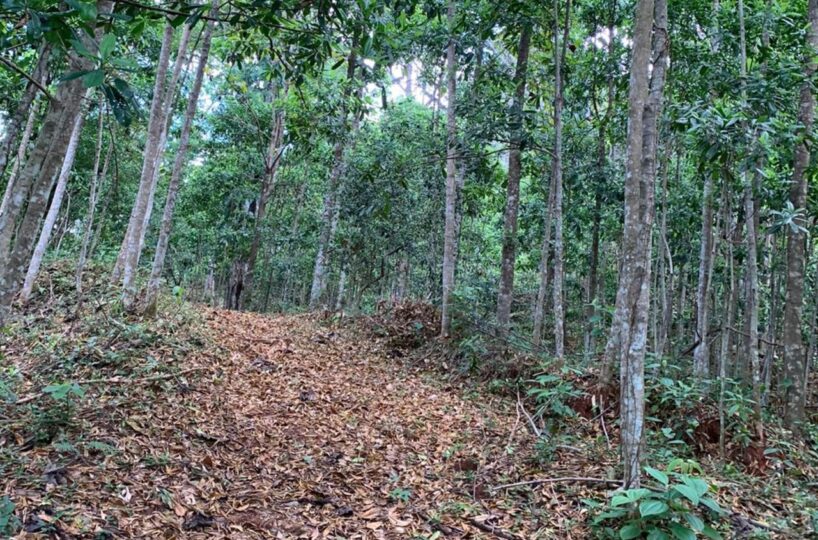 Farms and Ranches for sale in Bijagual Costa Rica