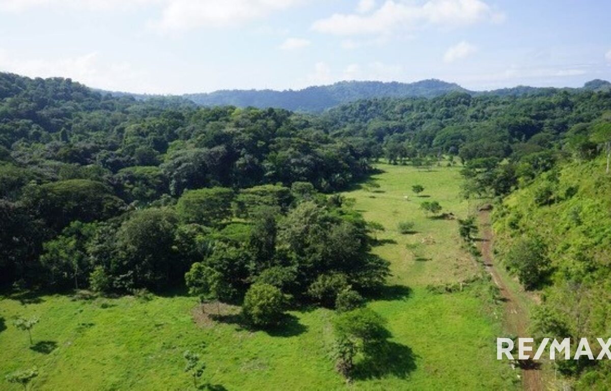 Development Land for sale in Quebrada Ganado Costa Rica