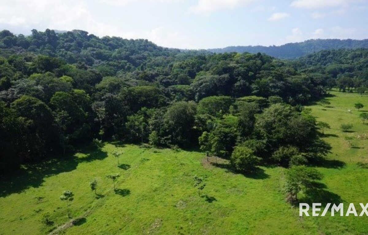 Development Land for sale in Quebrada Ganado Costa Rica