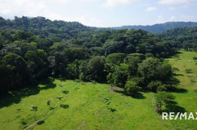 Development Land for sale in Quebrada Ganado Costa Rica