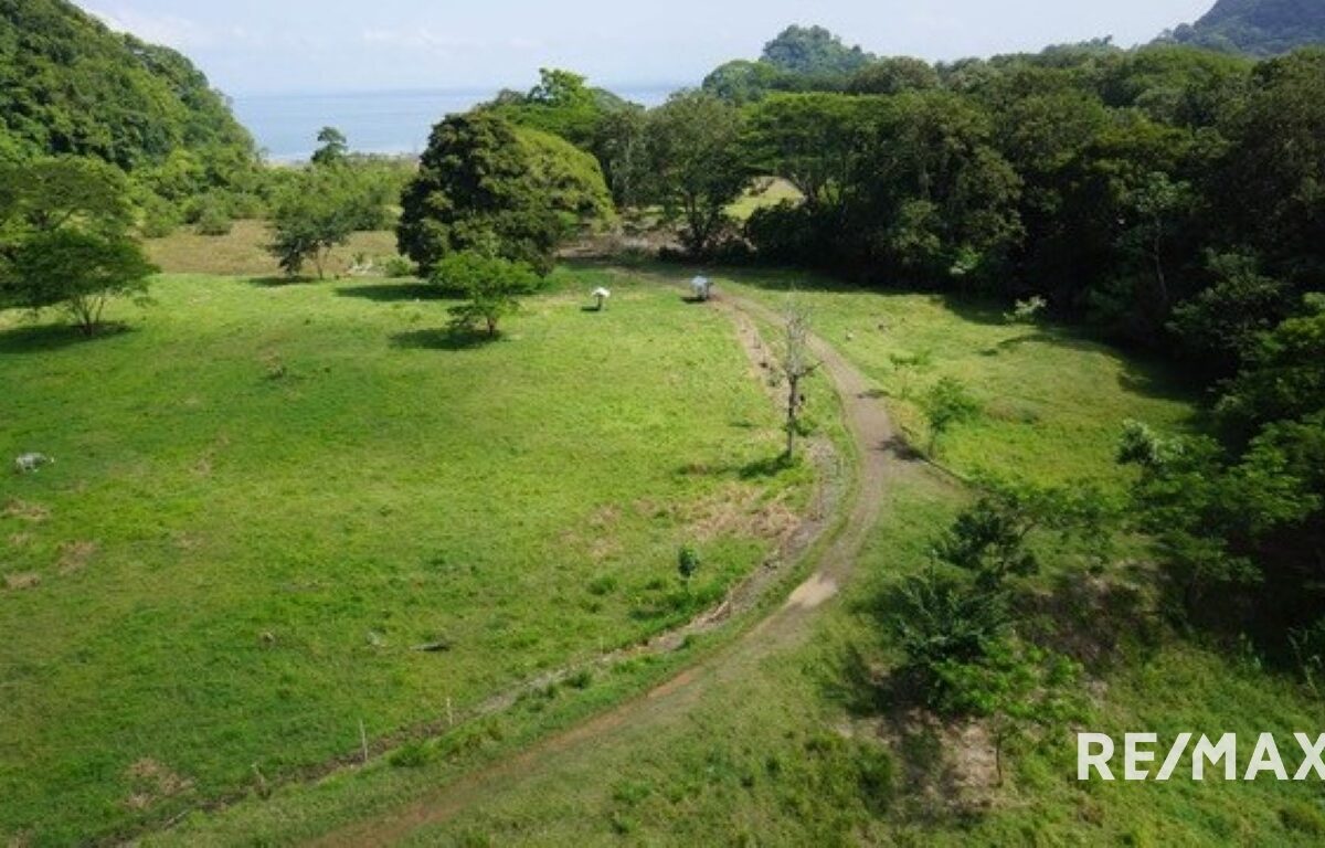 Development Land for sale in Quebrada Ganado Costa Rica