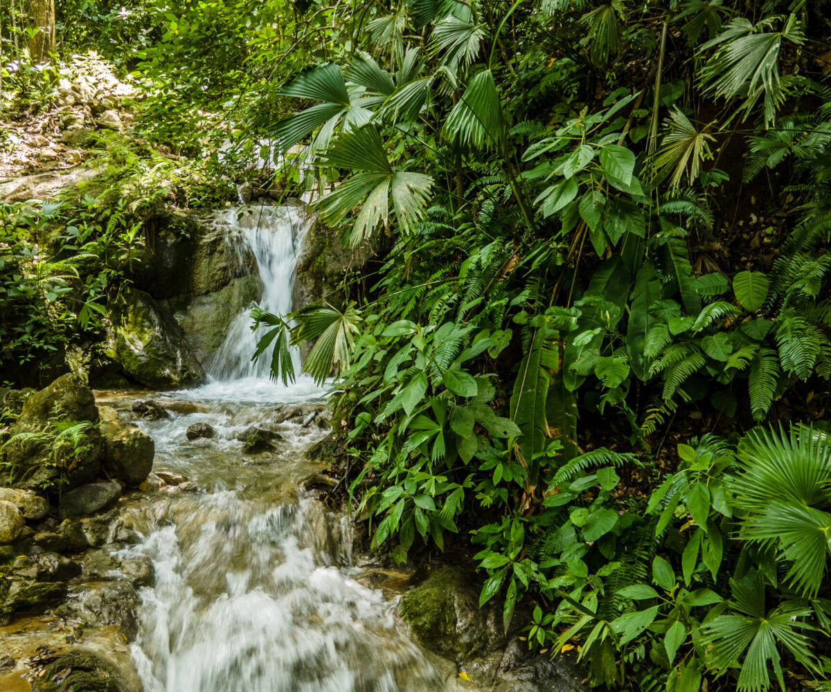 Building LotsDevelopment Land for sale in Hermosa Beach Costa Rica
