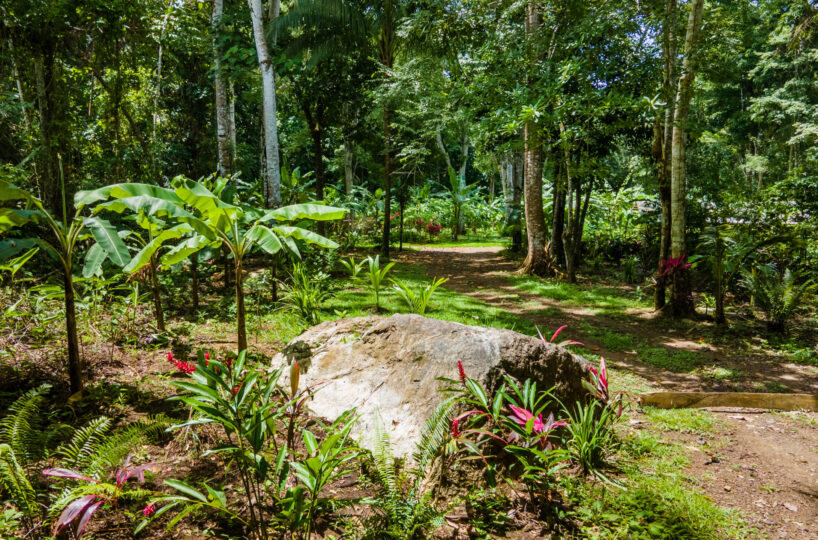 Building LotsDevelopment Land for sale in Hermosa Beach Costa Rica