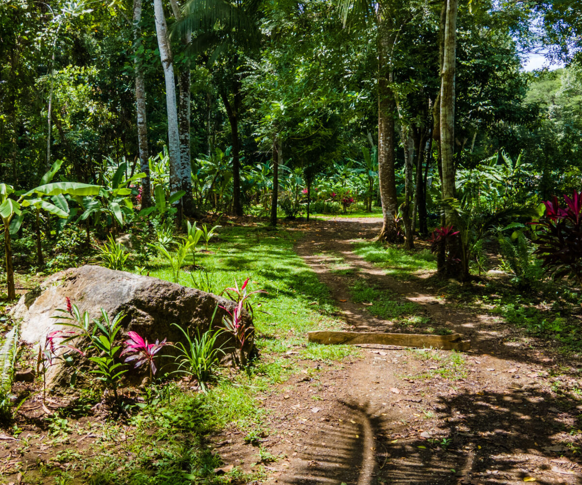 Building LotsDevelopment Land for sale in Hermosa Beach Costa Rica