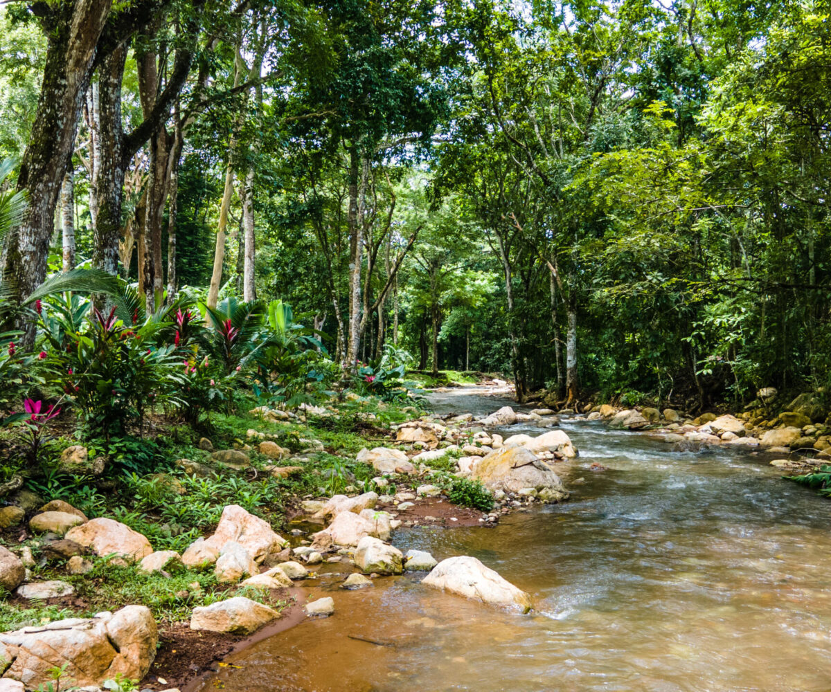 Building LotsDevelopment Land for sale in Hermosa Beach Costa Rica