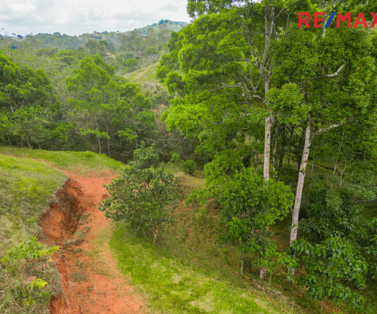 Building Lots for sale in Bijagual Costa Rica
