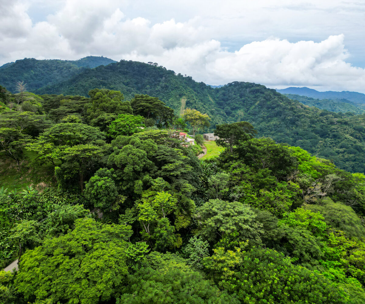 Building Lots for sale in Tarcoles Costa Rica