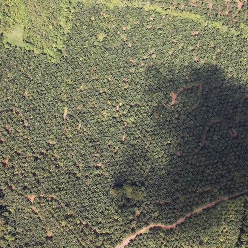 Development LandFarms and Ranches for sale in Parrita Costa Rica