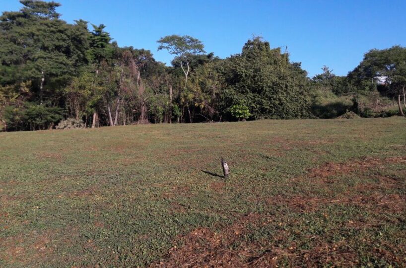 Building Lots for sale in Tarcoles Costa Rica