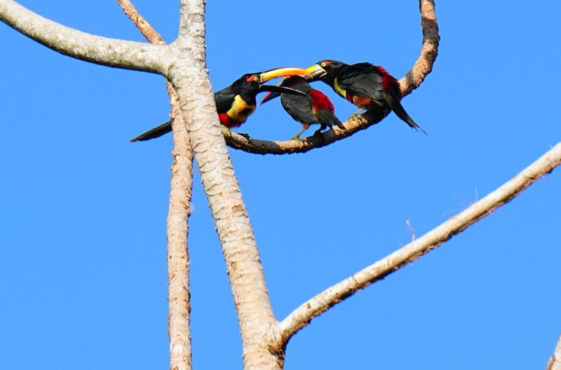 Homes for sale in Parrita Costa Rica