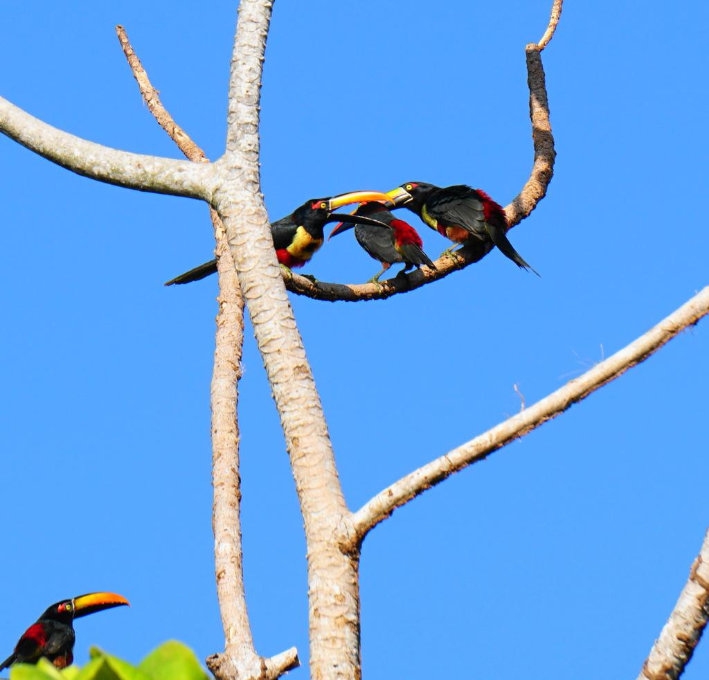 Homes for sale in Parrita Costa Rica