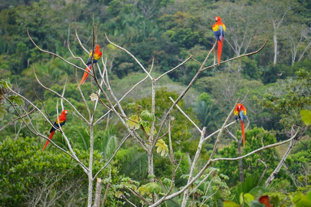 Homes for sale in Parrita Costa Rica