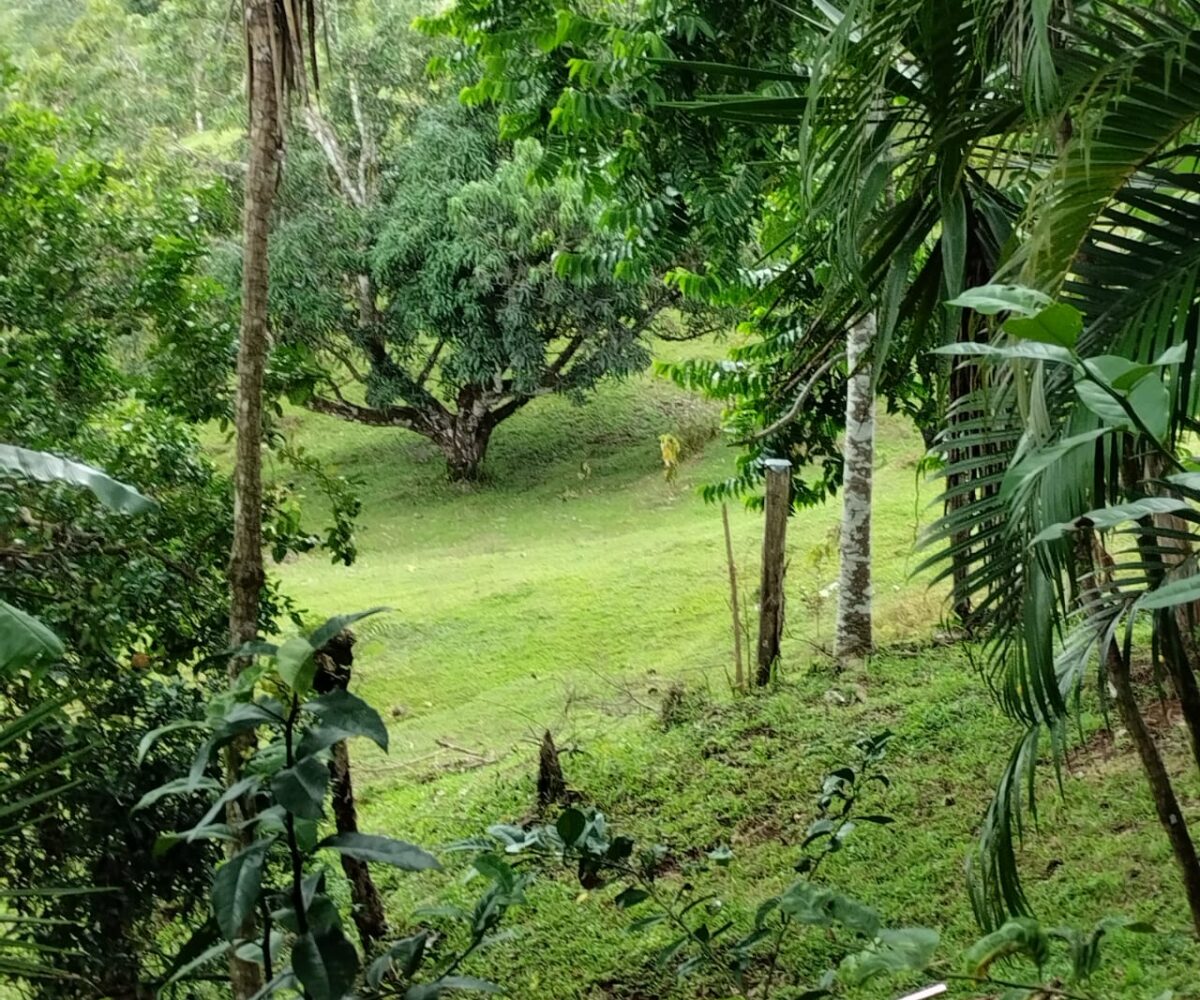 Homes for sale in Puriscal Costa Rica