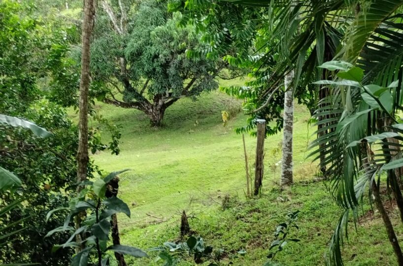 Homes for sale in Puriscal Costa Rica