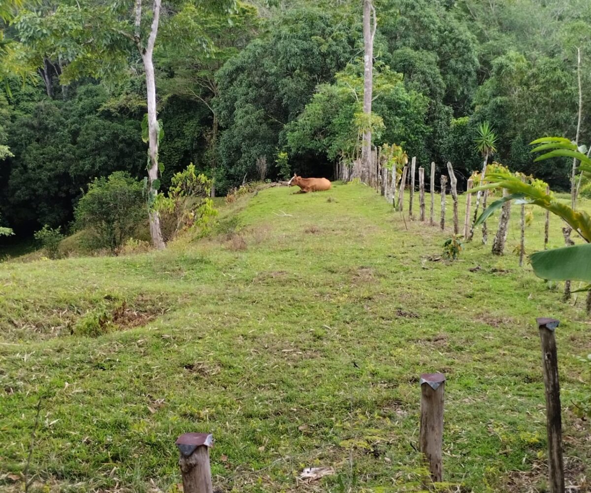 Homes for sale in Puriscal Costa Rica