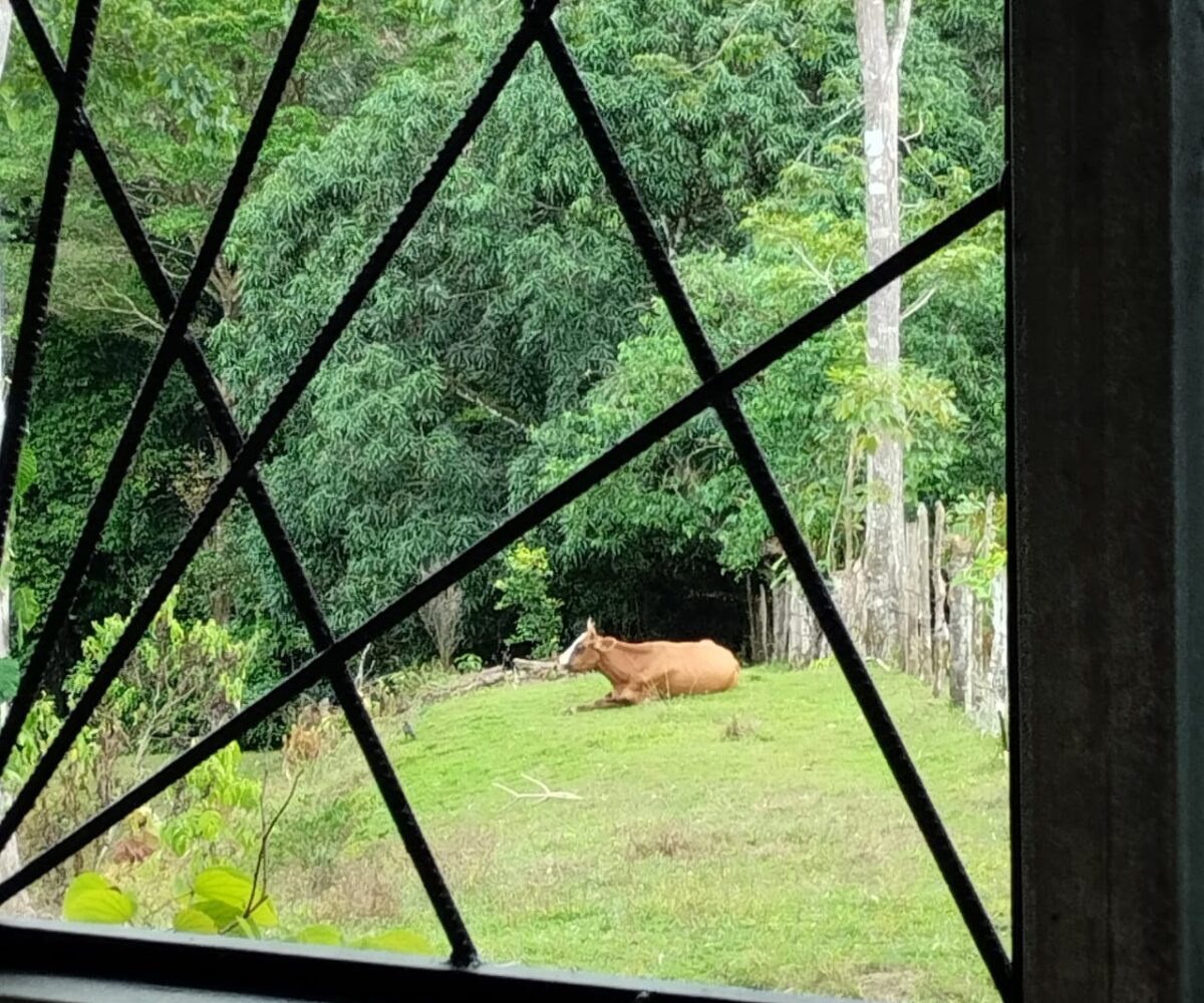 Homes for sale in Puriscal Costa Rica