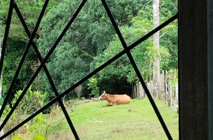 Homes for sale in Puriscal Costa Rica