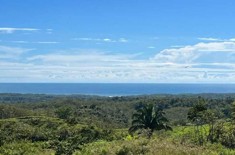 Homes for sale in Parrita Costa Rica