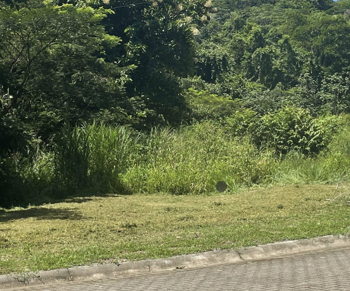 Building Lots for sale in Punta Leona Costa Rica