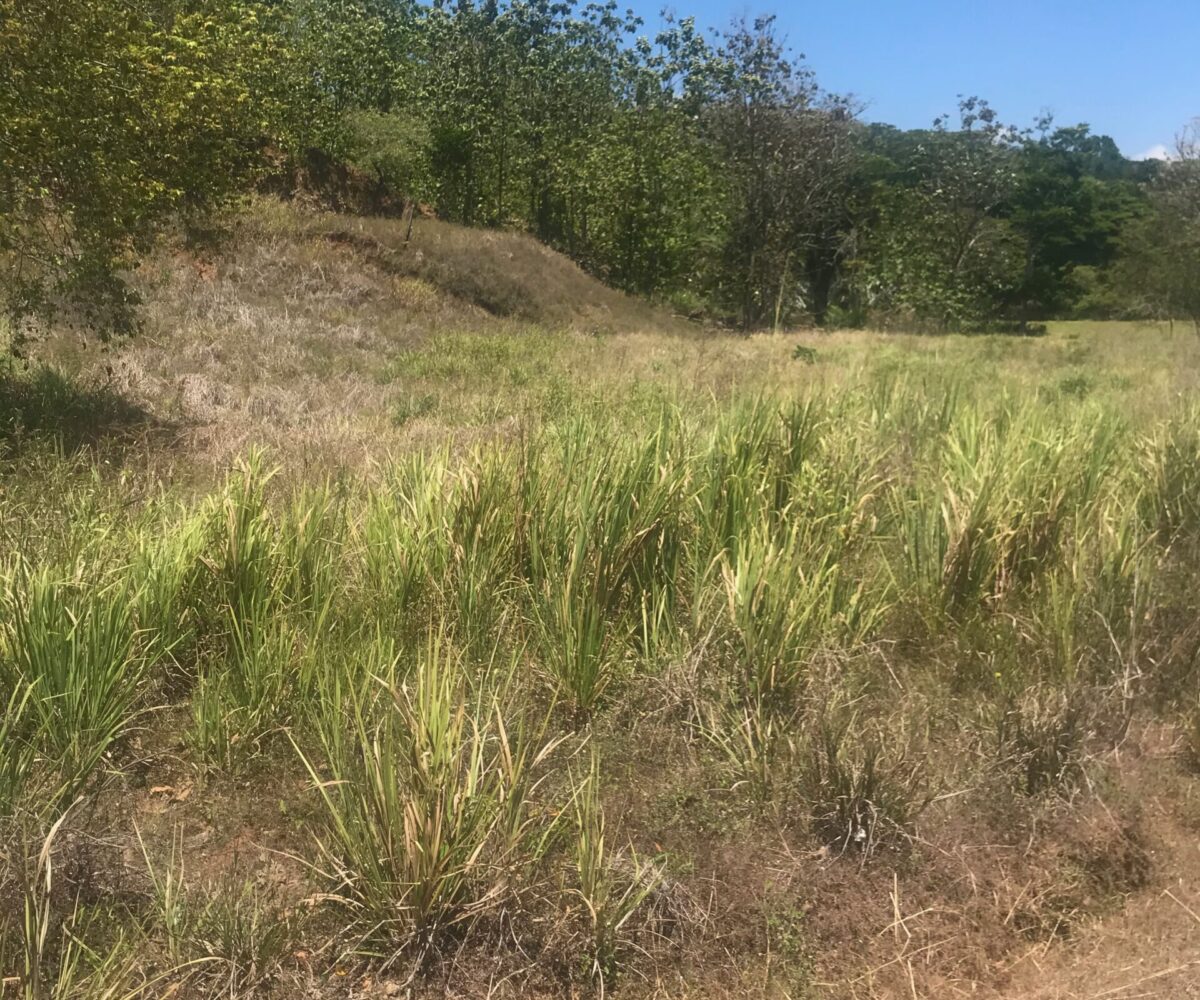 Building Lots for sale in Bejuco Costa Rica