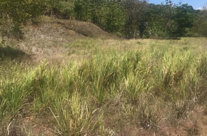 Building Lots for sale in Bejuco Costa Rica