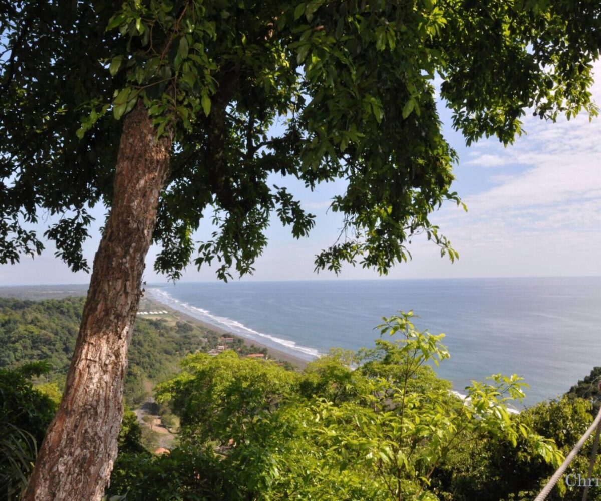 Homes for sale in Hermosa Beach Costa Rica