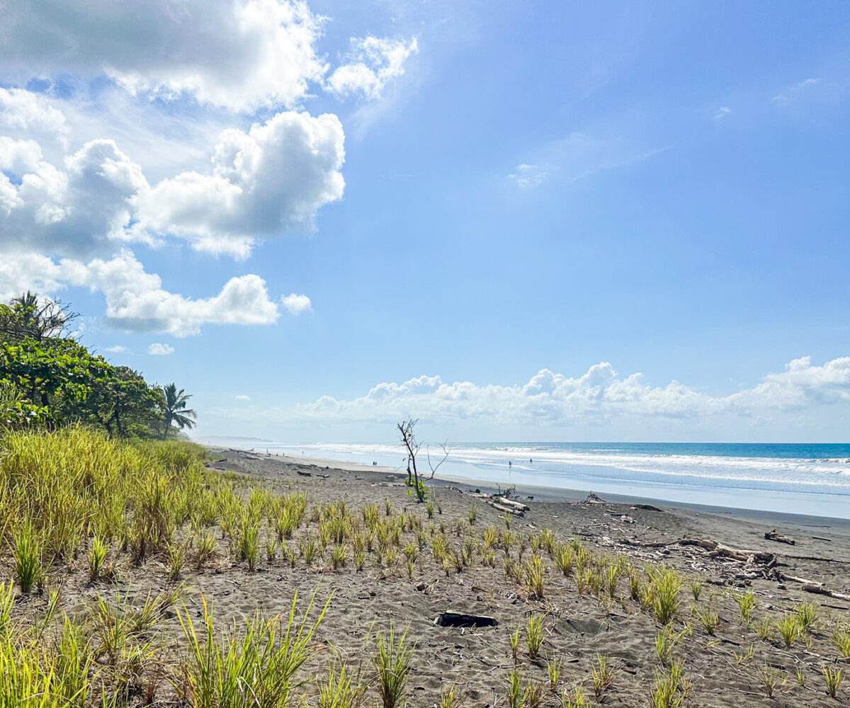 Building Lots for sale in Hermosa Beach Costa Rica