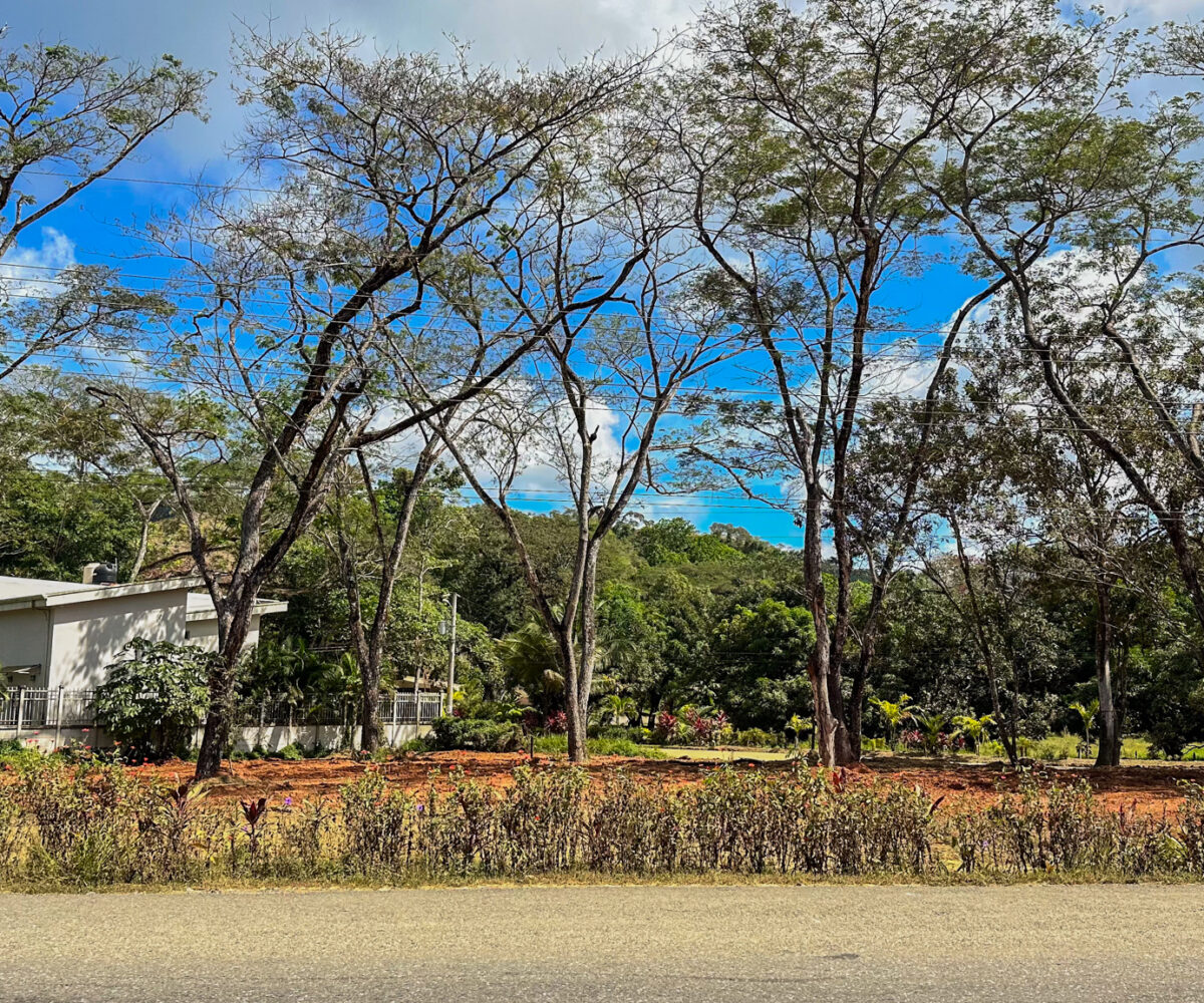 Building LotsCommercial for sale in Hermosa Beach Costa Rica