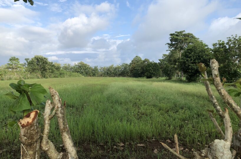 Building Lots for sale in Esterillos Costa Rica