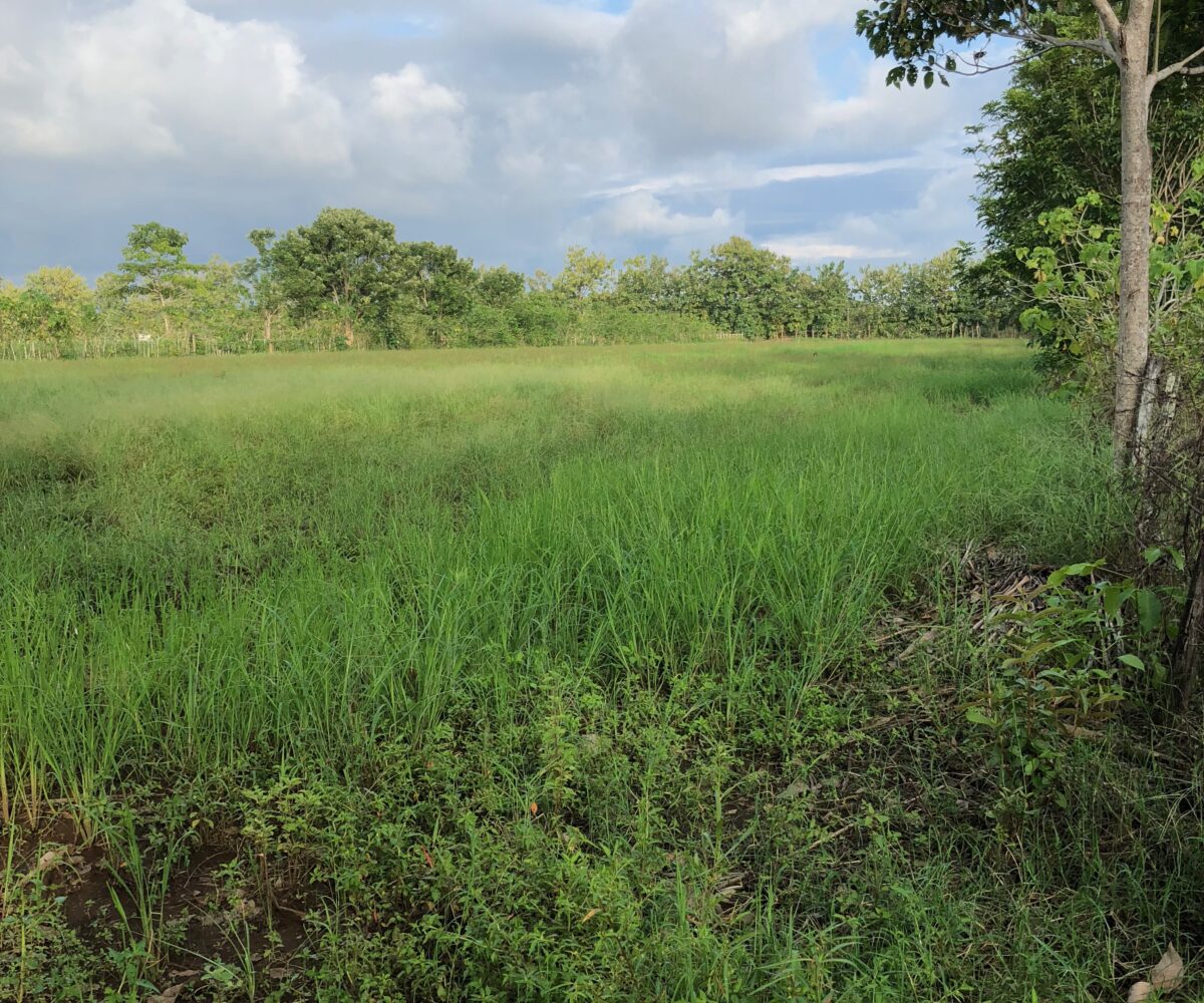 Building Lots for sale in Esterillos Costa Rica