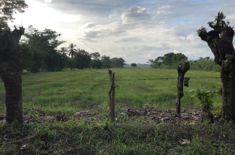 Building Lots for sale in Esterillos Costa Rica