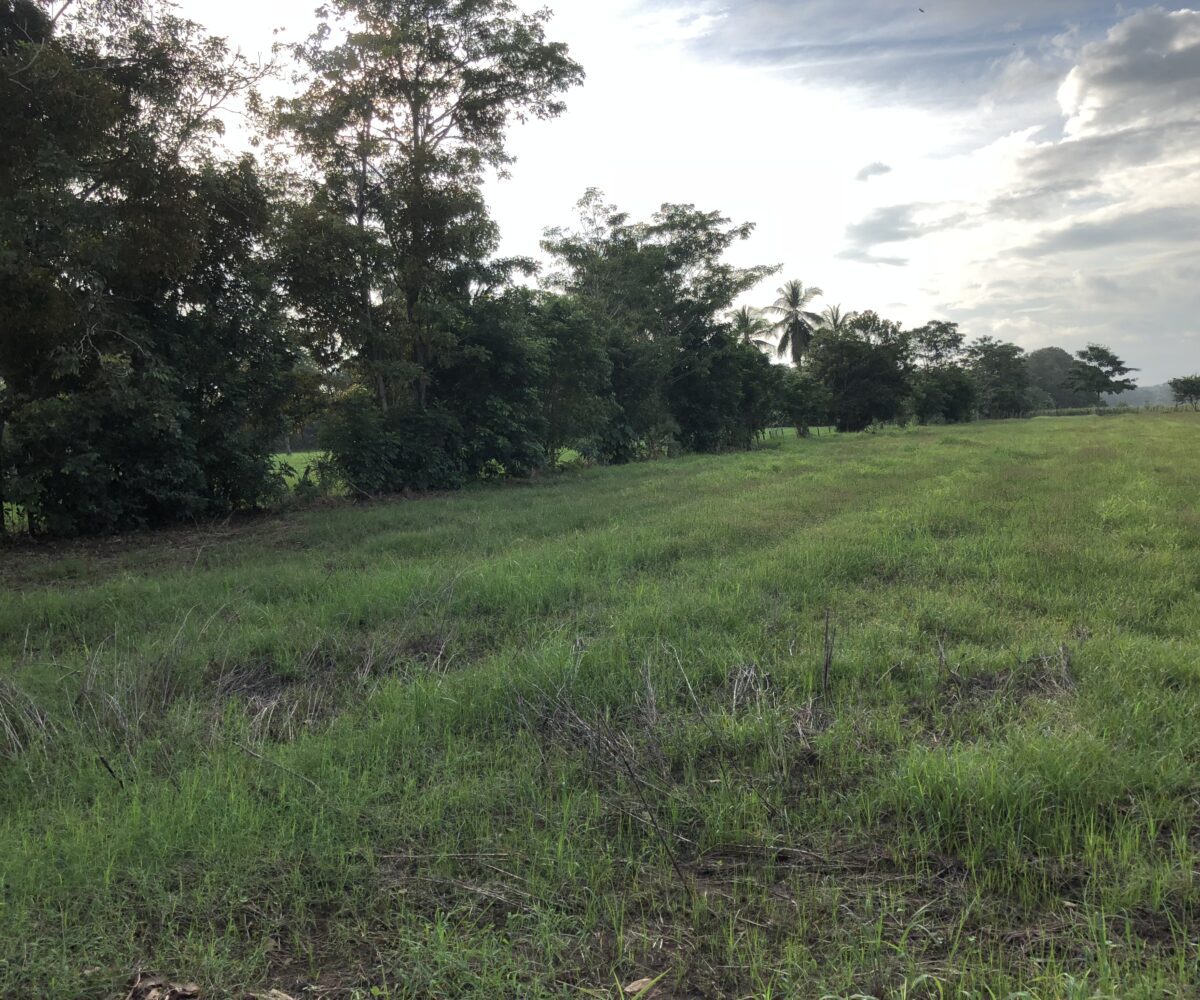 Building Lots for sale in Esterillos Costa Rica