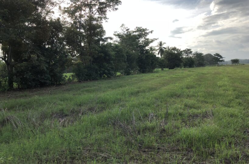 Building Lots for sale in Esterillos Costa Rica