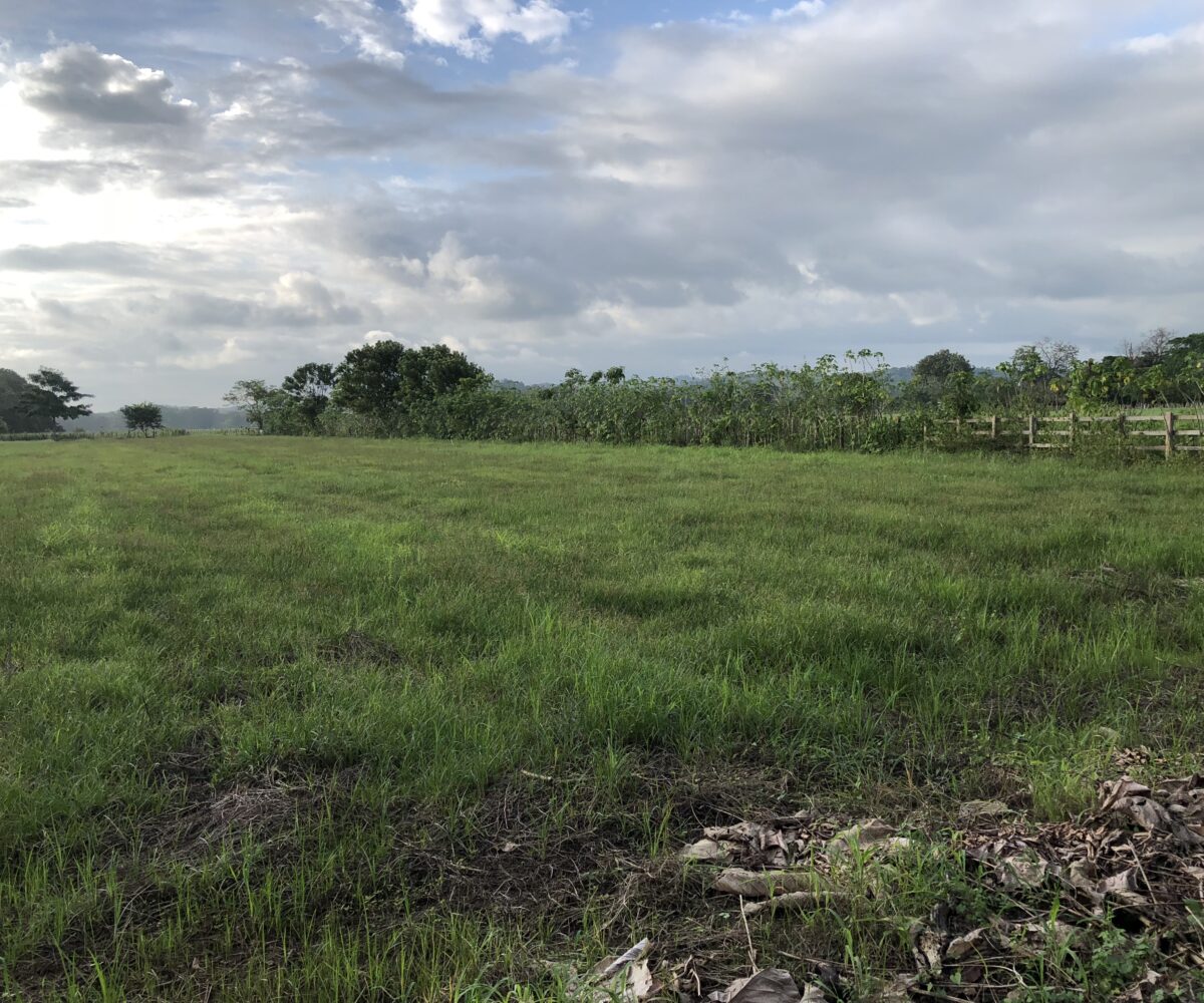 Building Lots for sale in Esterillos Costa Rica