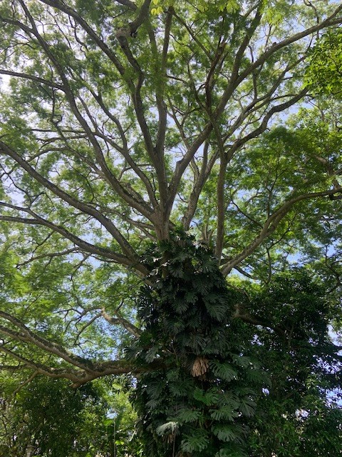 Homes for sale in La Garita Costa Rica