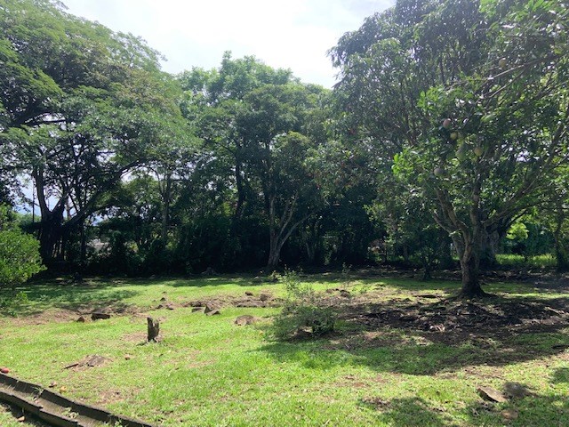 Homes for sale in La Garita Costa Rica