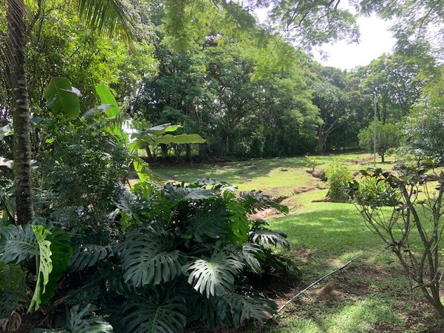 Homes for sale in La Garita Costa Rica