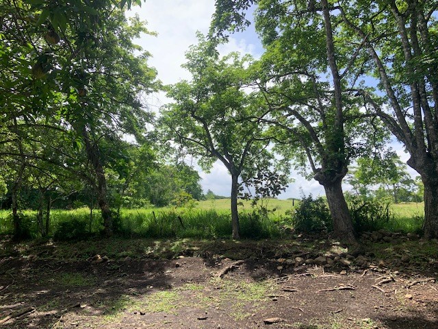 Homes for sale in La Garita Costa Rica