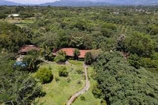 CommercialHotel - B&B for sale in La Garita Costa Rica