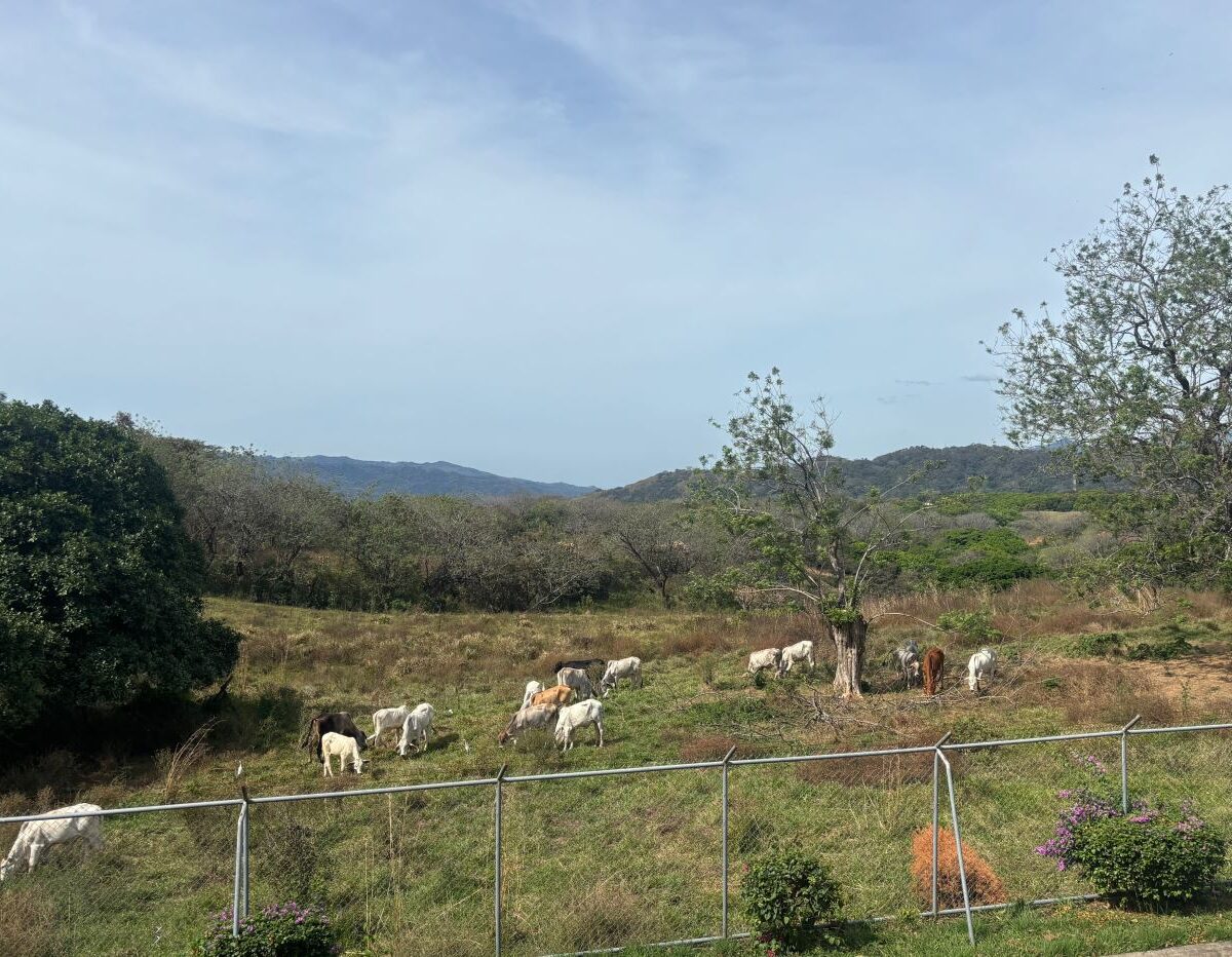 Homes for sale in La Guacima Costa Rica