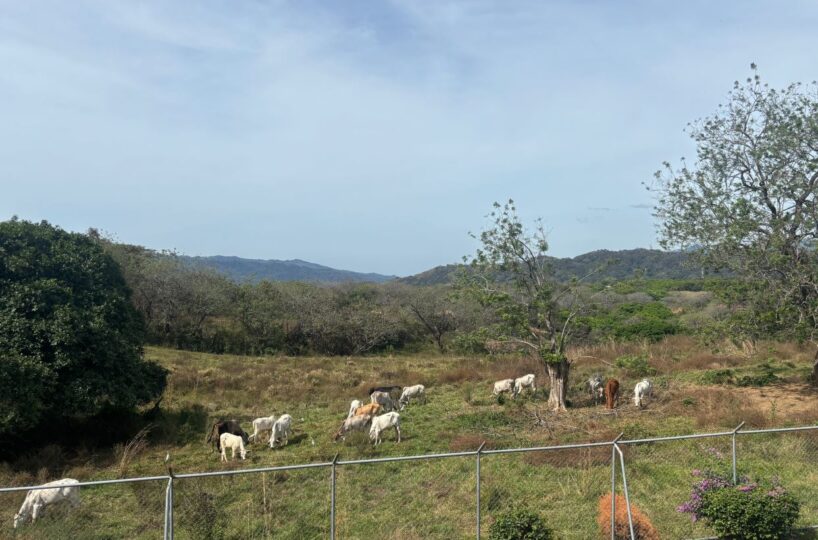 Homes for sale in La Guacima Costa Rica