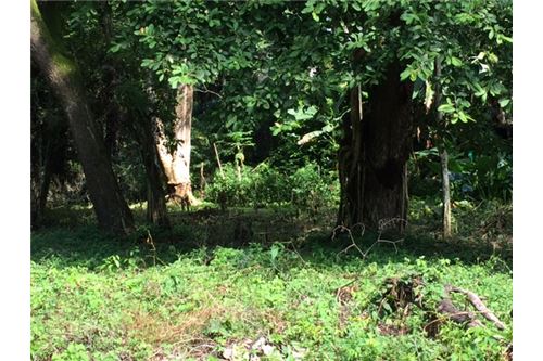 Building Lots for sale in Herradura Bay Costa Rica